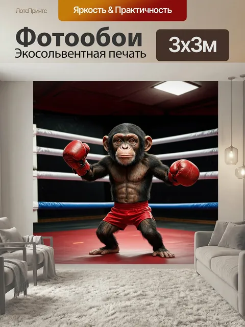 Фотообои Забавный обезьяна, занимающаяся боксом в спортивном зале. она в перчатках и шортах, её лицо выражает решимост…