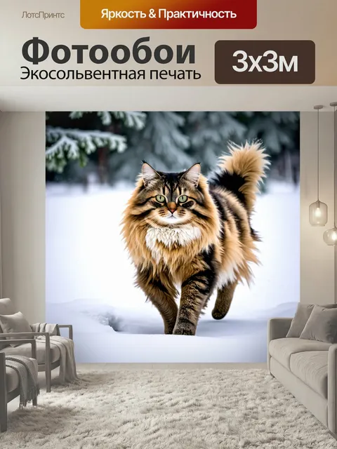 Фотообои Кошка с длинной шерстью, гуляющая по снегу
