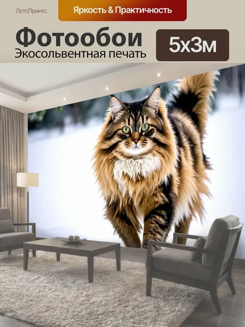 Фотообои Кошка с длинной шерстью, гуляющая по снегу