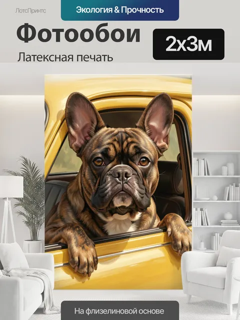 200 × 300 см · Латексная печать