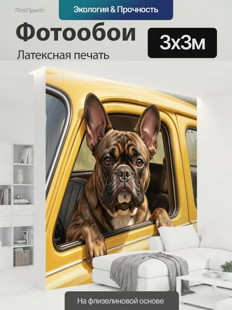 300 × 300 см · Латексная печать