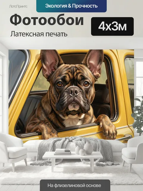 400 × 300 см · Латексная печать