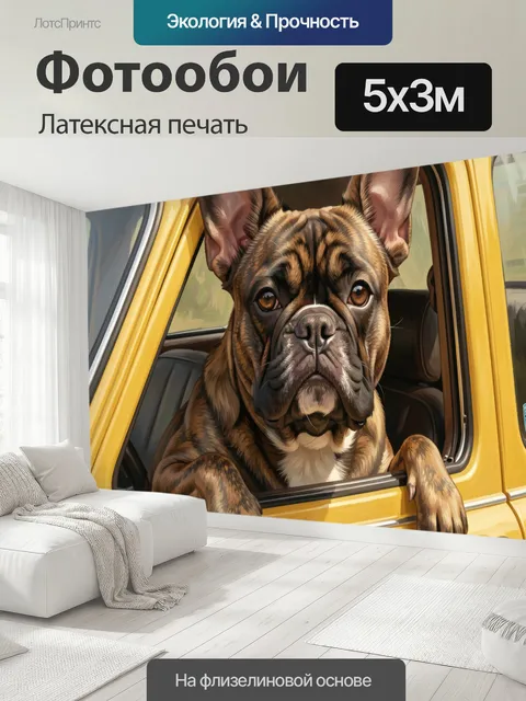 500 × 300 см · Латексная печать