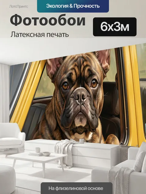 600 × 300 см · Латексная печать