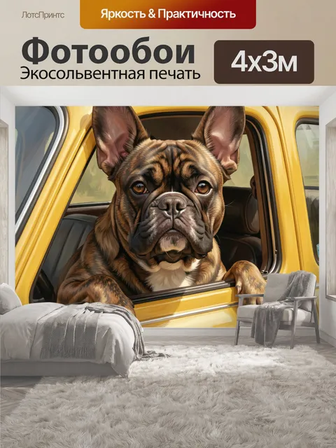 400 × 300 см · Экосольвентная печать