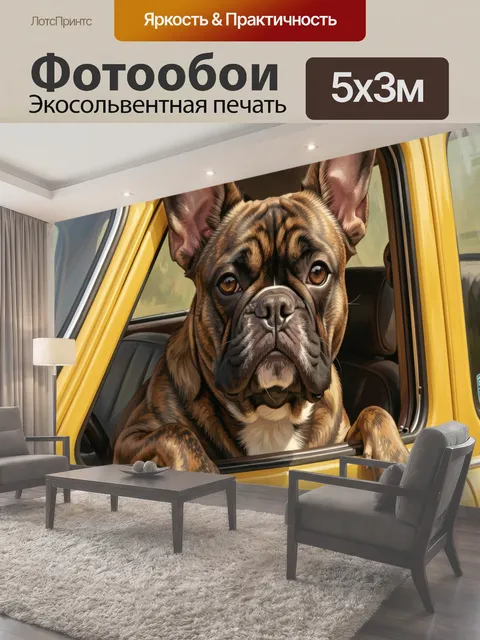 Фотообои Французский бульдог в желтой машине
