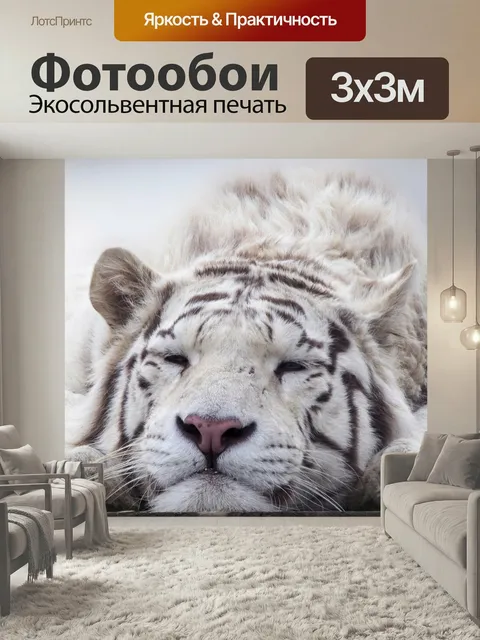 Фотообои Тигр, белый, животное