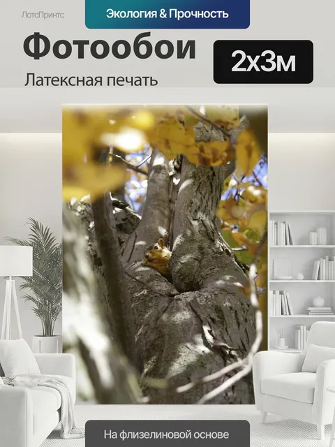 200 × 300 см · Латексная печать