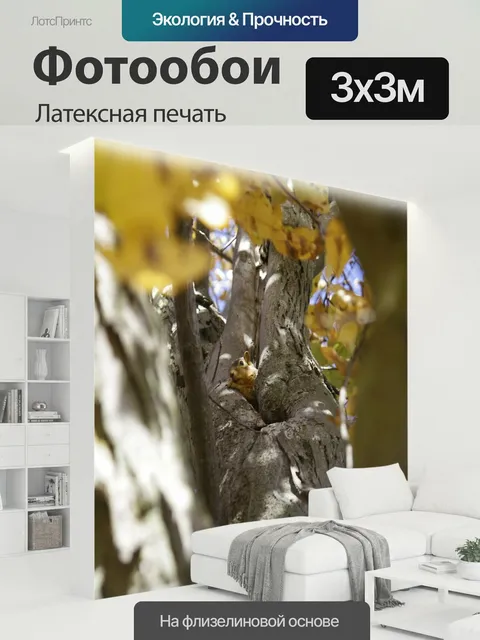 300 × 300 см · Латексная печать