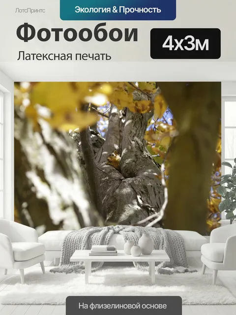 400 × 300 см · Латексная печать