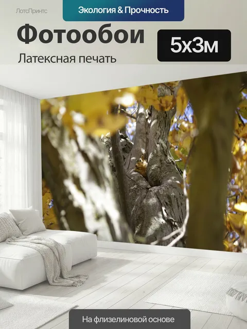 500 × 300 см · Латексная печать