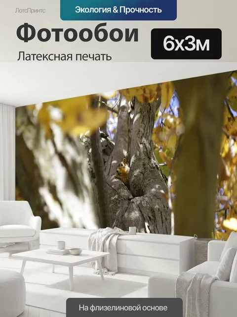 600 × 300 см · Латексная печать