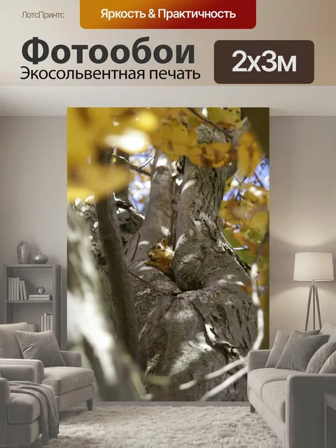 200 × 300 см · Экосольвентная печать