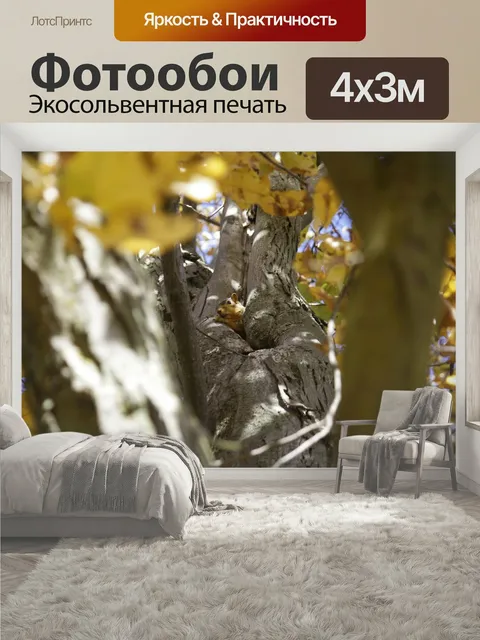 400 × 300 см · Экосольвентная печать