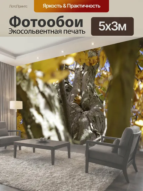 500 × 300 см · Экосольвентная печать