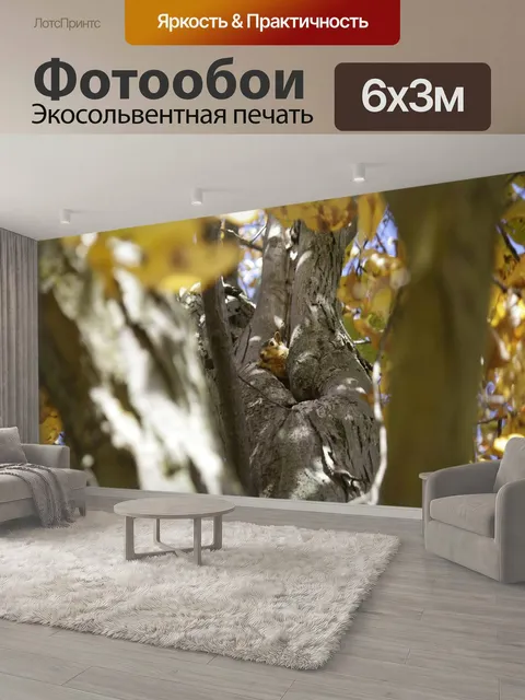 600 × 300 см · Экосольвентная печать