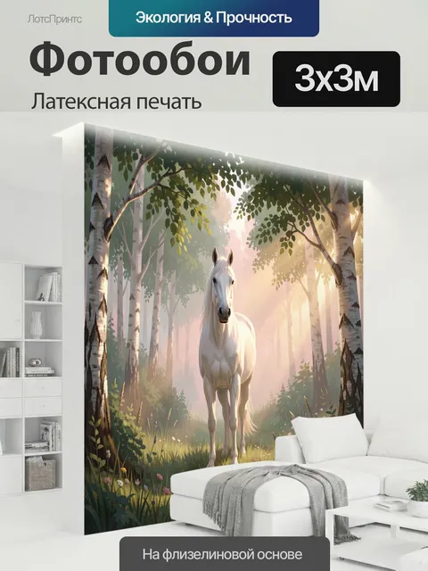 300 × 300 см · Латексная печать