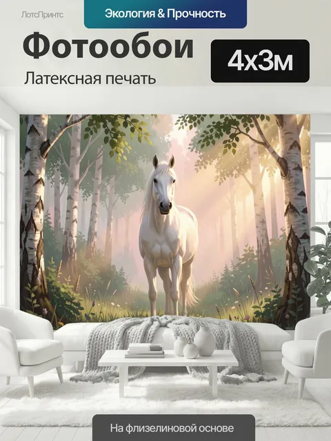 400 × 300 см · Латексная печать