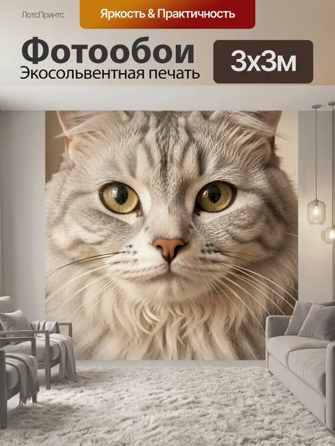 Фотообои Пушистый серый кот крупным планом. Реалистичное крупное изображение домашнего питомца с янтарными глазами, мя…
