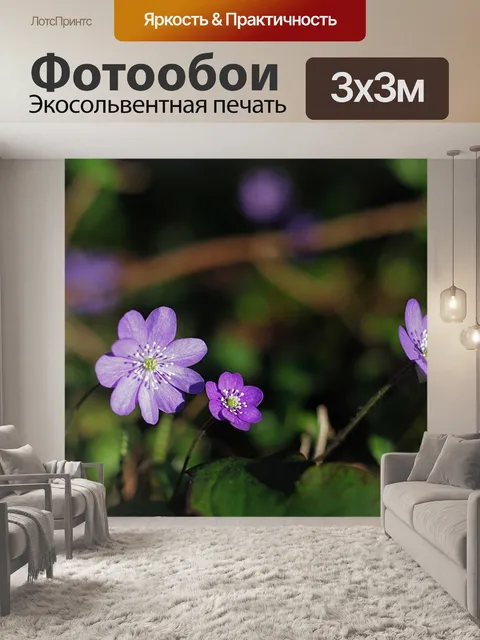 Фотообои Гепатит, печеночница нобилис, цветок весны