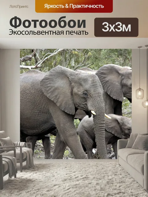 Фотообои Стадо слонов, слон, африке