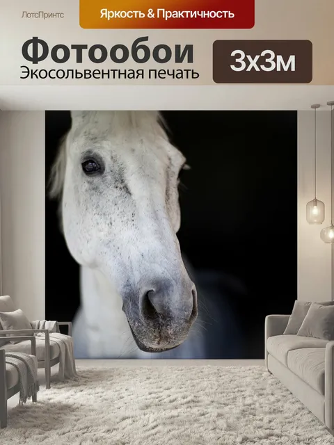 Фотообои Лошадь, голова, животное