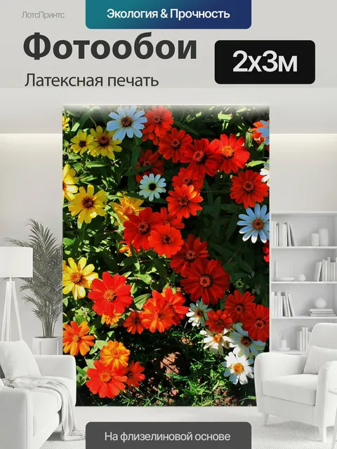 200 × 300 см · Латексная печать