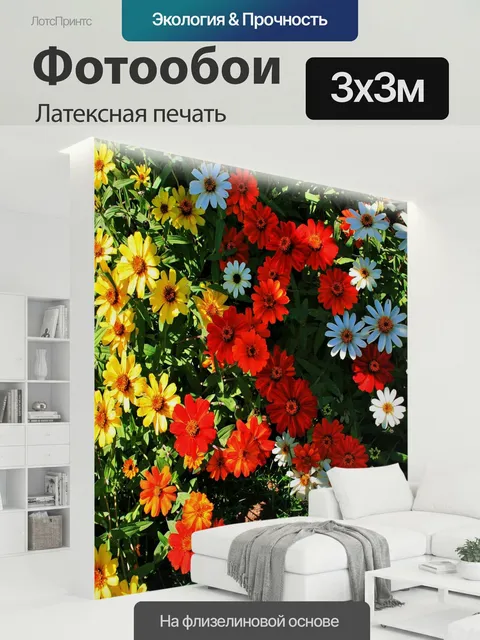 300 × 300 см · Латексная печать