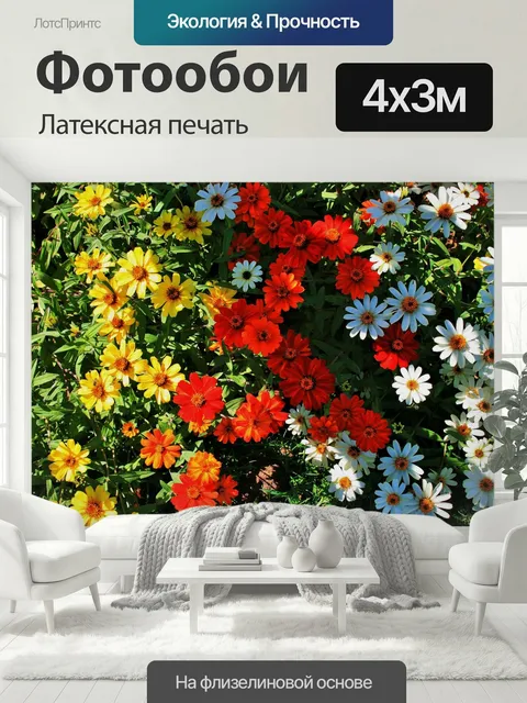 400 × 300 см · Латексная печать