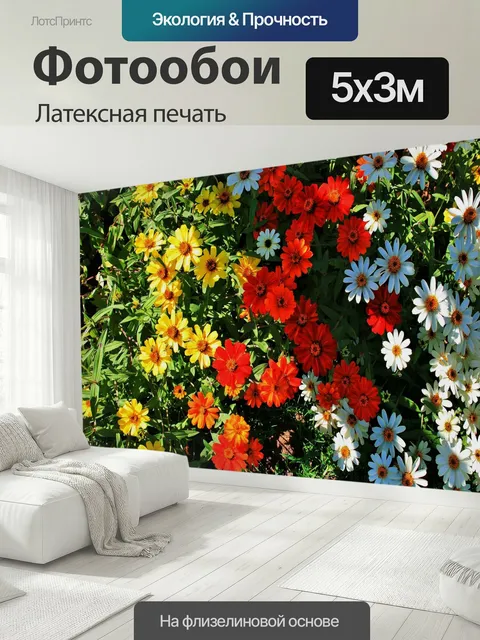 500 × 300 см · Латексная печать