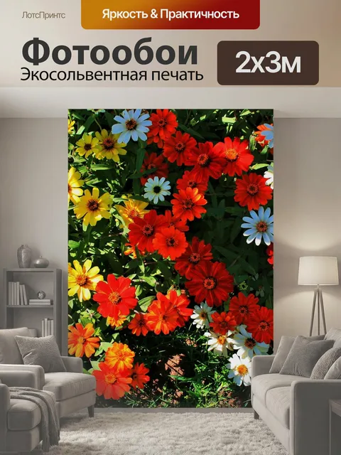 200 × 300 см · Экосольвентная печать