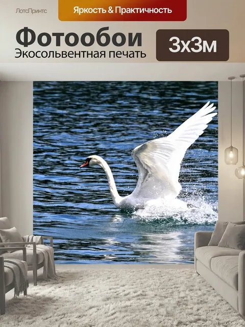 Фотообои Лебедь, птица, животное