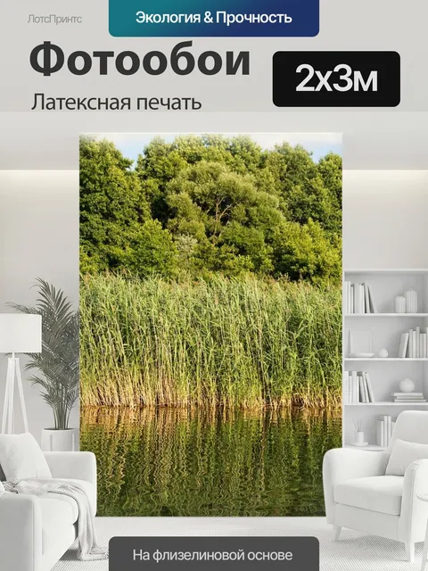 200 × 300 см · Латексная печать