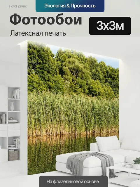 300 × 300 см · Латексная печать