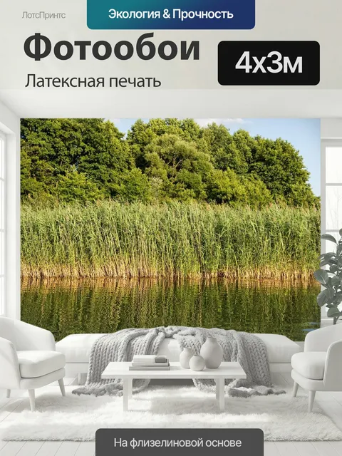 400 × 300 см · Латексная печать