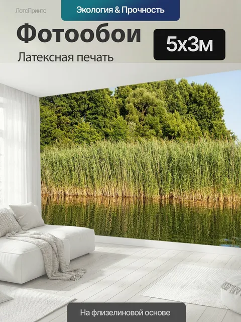 500 × 300 см · Латексная печать