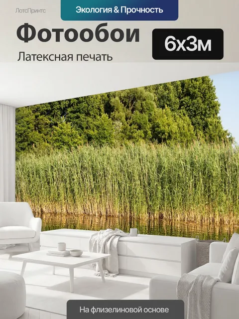600 × 300 см · Латексная печать