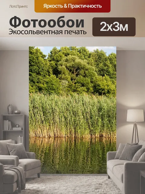 200 × 300 см · Экосольвентная печать