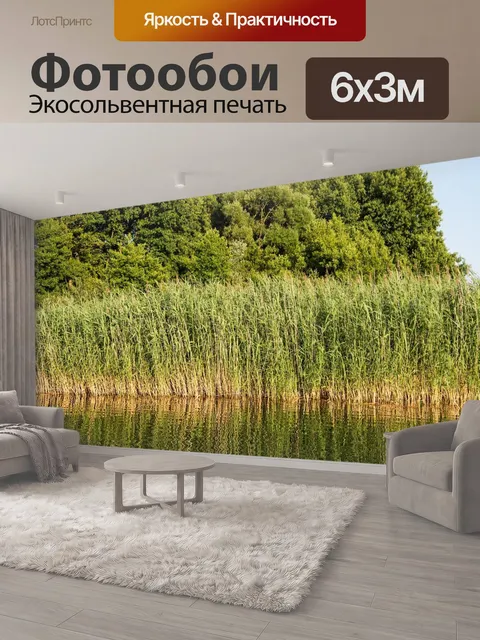 600 × 300 см · Экосольвентная печать