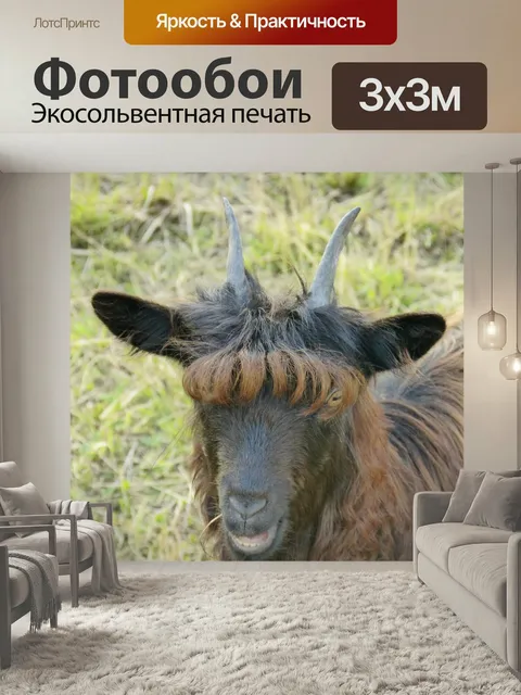Фотообои Козел, млекопитающее, волосы