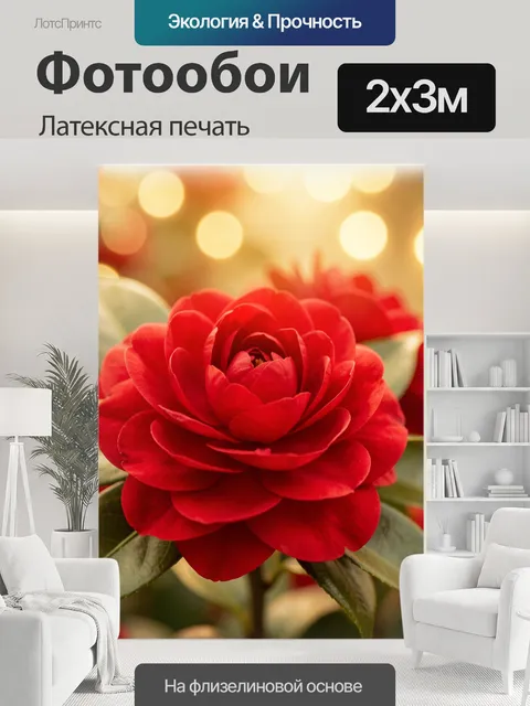 200 × 300 см · Латексная печать