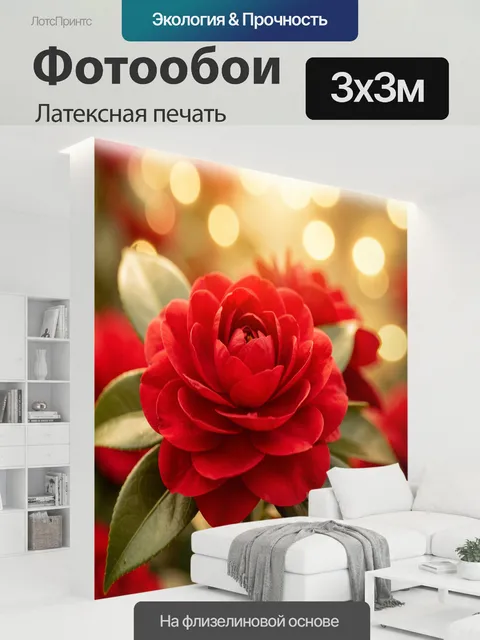 300 × 300 см · Латексная печать