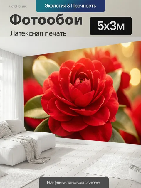 500 × 300 см · Латексная печать