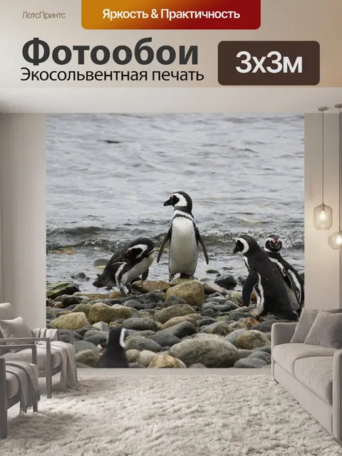 Фотообои Ловит рыбу, пингвины, пингвин