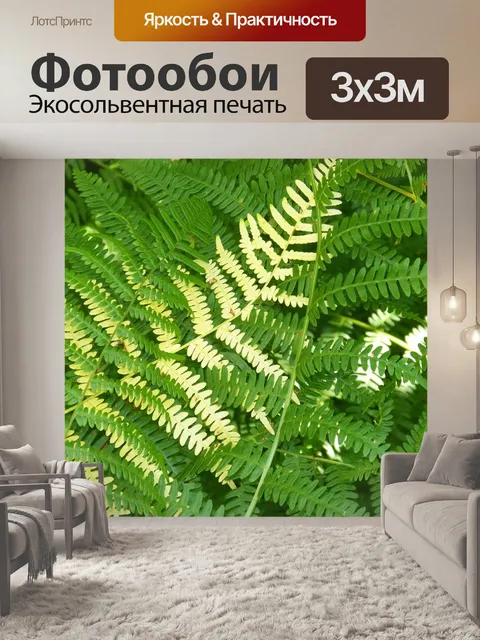 Фотообои Папоротники, справочная информация, текстура
