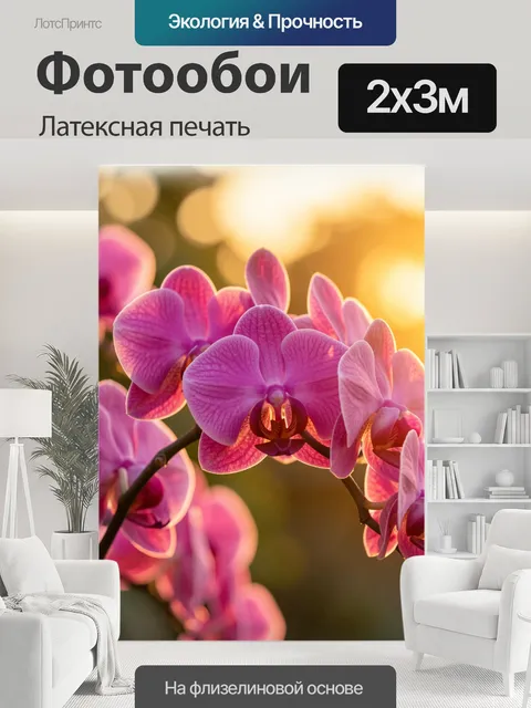 200 × 300 см · Латексная печать