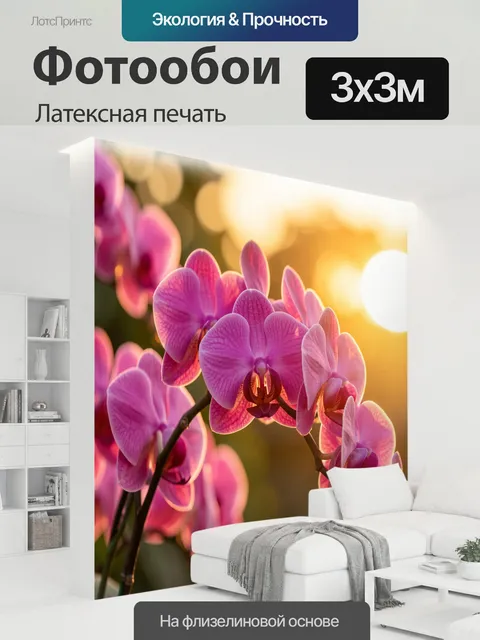 300 × 300 см · Латексная печать