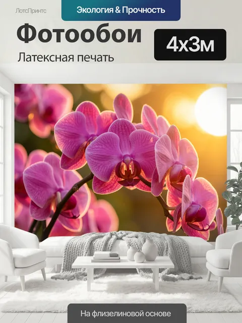 400 × 300 см · Латексная печать