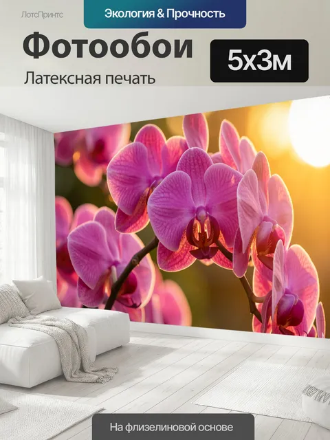 500 × 300 см · Латексная печать