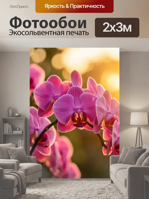 200 × 300 см · Экосольвентная печать